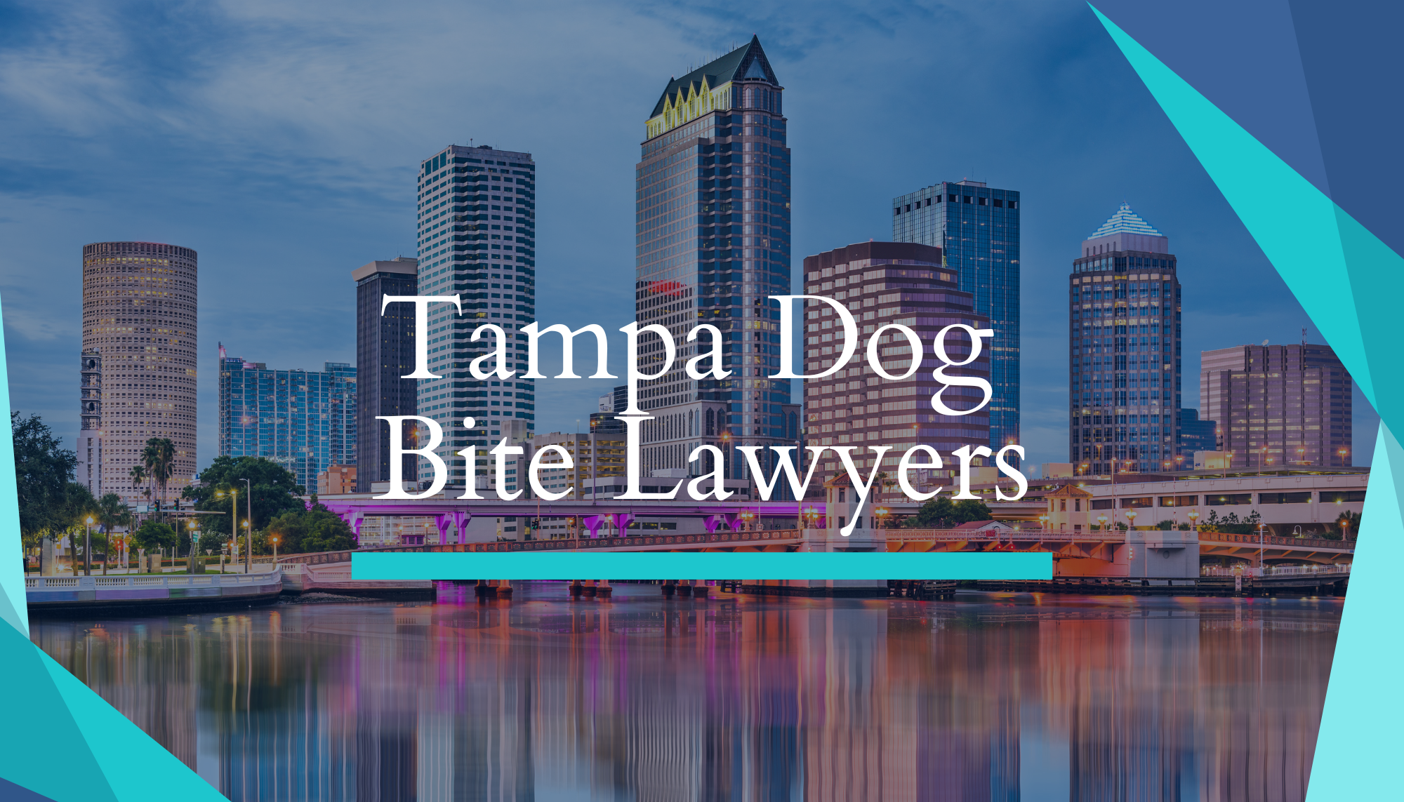 Tampa Dog Bite Attorneys