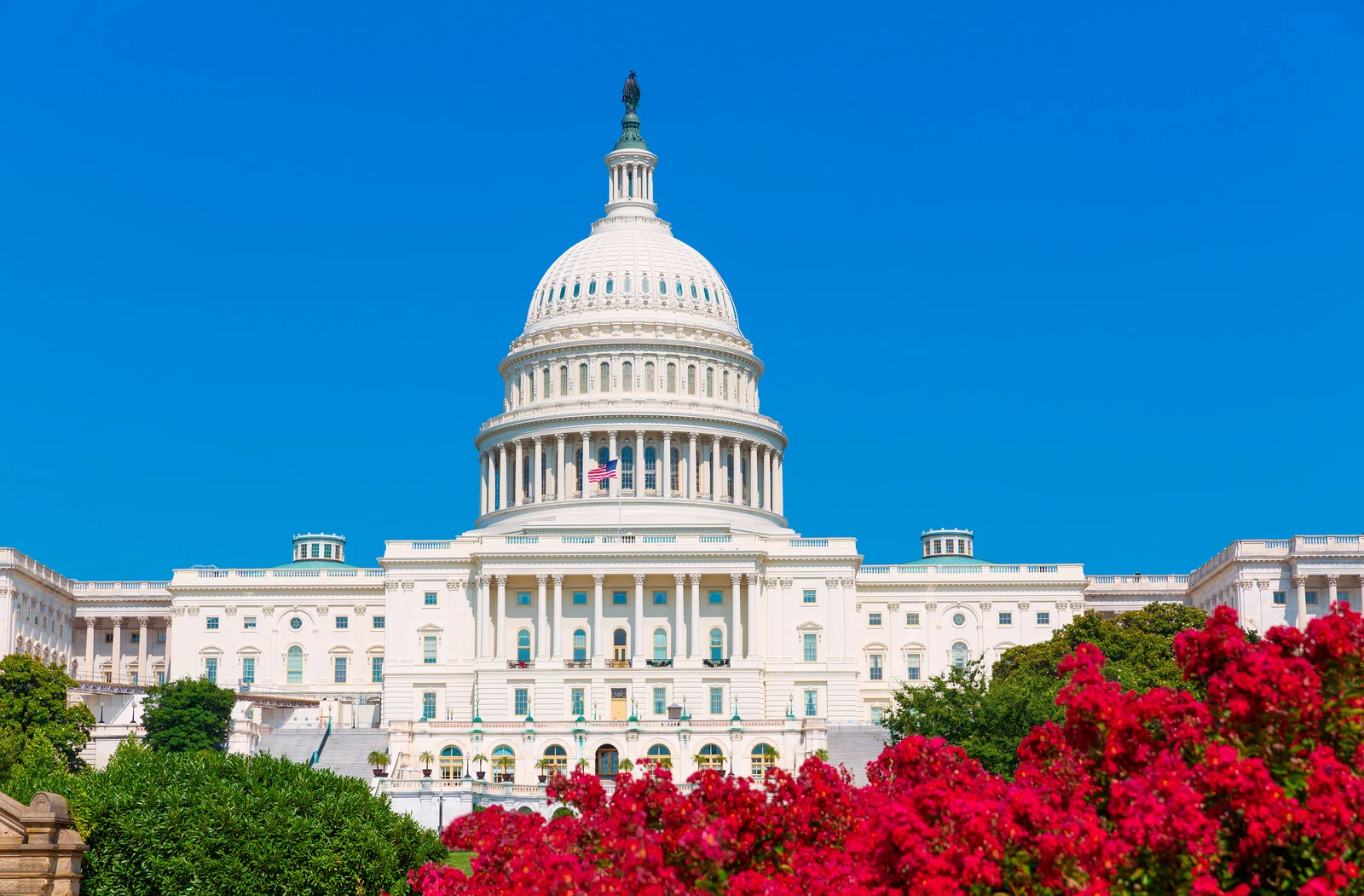 Government building, federal employment attorneys